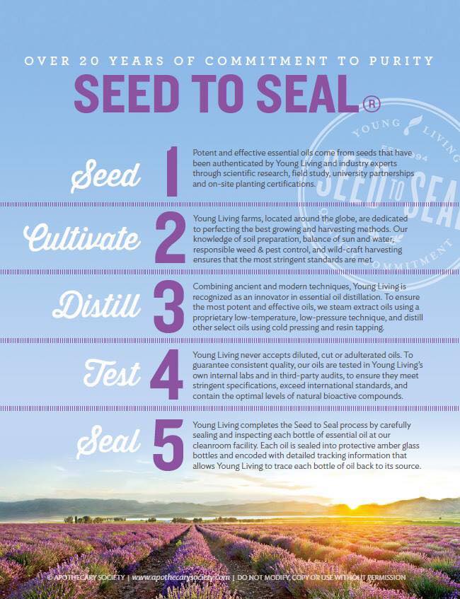 PAUSE SLIDE SHOW AND READ THIS!